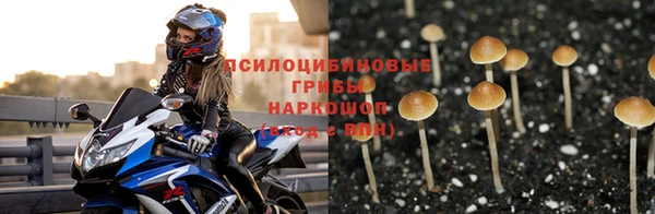 индика Алексин