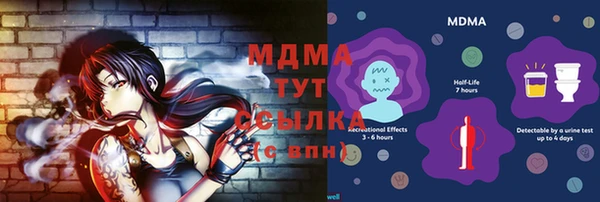 индика Алексин