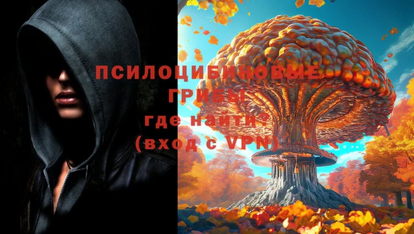 индика Алексин