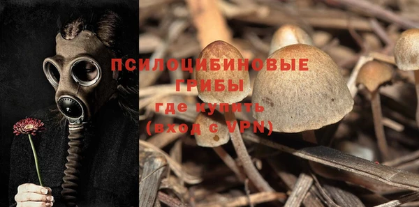 круглые Алзамай