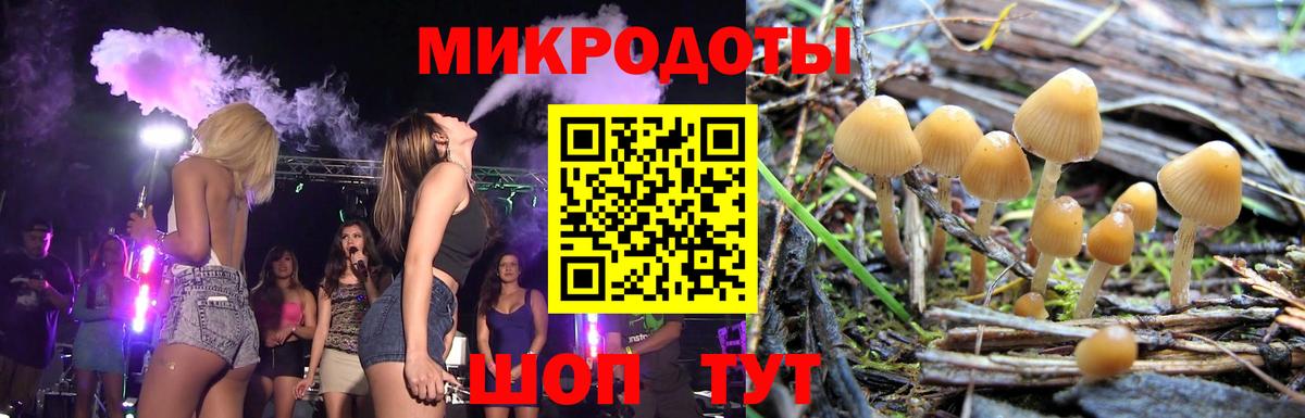 Нижнеудинск  Псилоцибиновые грибы Psilocybe  Вход с VPN 