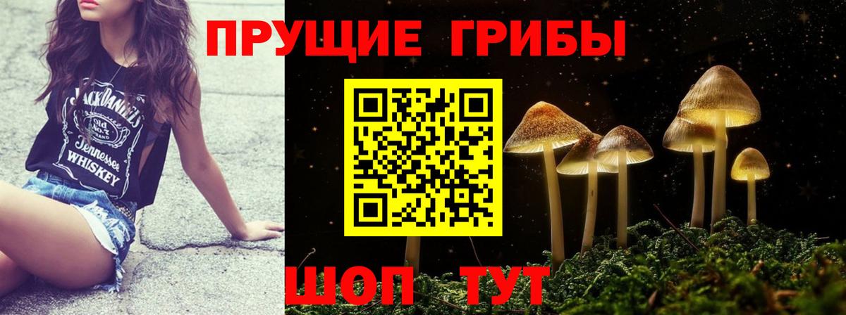Галлюциногенные грибы прущие грибы  Галлюциногенные грибы Magic Shrooms  Вход с VPN  Нижнеудинск 