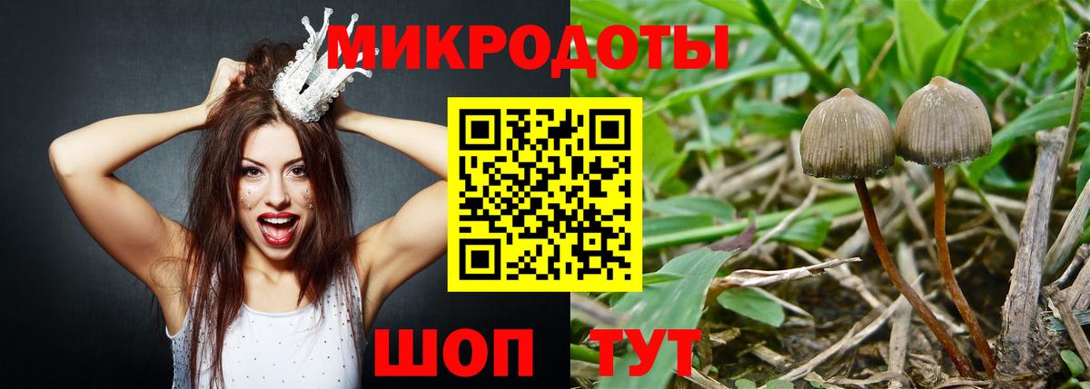 Галлюциногенные грибы ЛСД Нижнеудинск